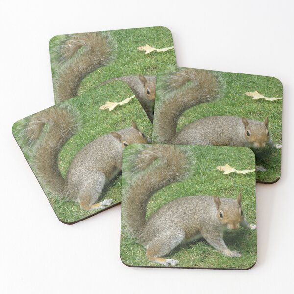 Item preview, Grey Squirrel with a Curly Tail Photograph designed and sold by naturegallery.