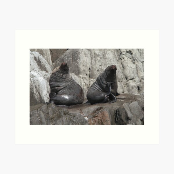 Item preview, Spring Break, Tasman Peninsula designed and sold by MiksPics.