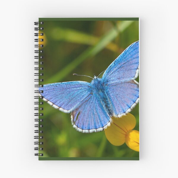 Item preview, Adonis Blue Butterfly designed and sold by Dan Newton.