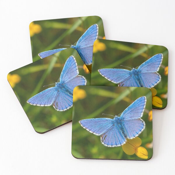 Item preview, Adonis Blue Butterfly designed and sold by Dan Newton.