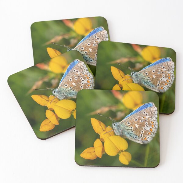 Item preview, Adonis Blue Butterfly designed and sold by Dan Newton.