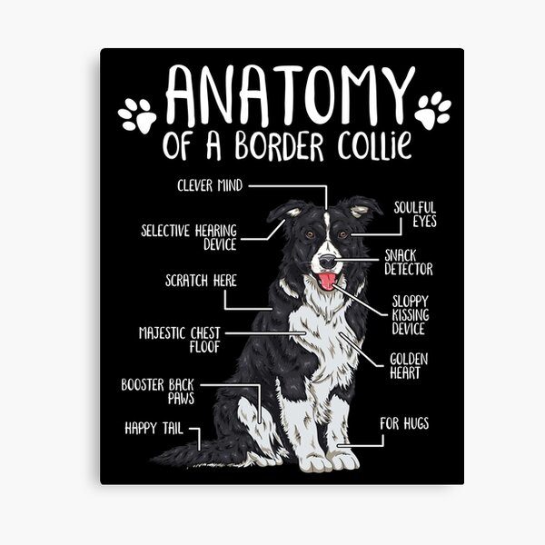 Item preview, Funny Border Collie Anatomy Dog Lover designed and sold by lanynx design.