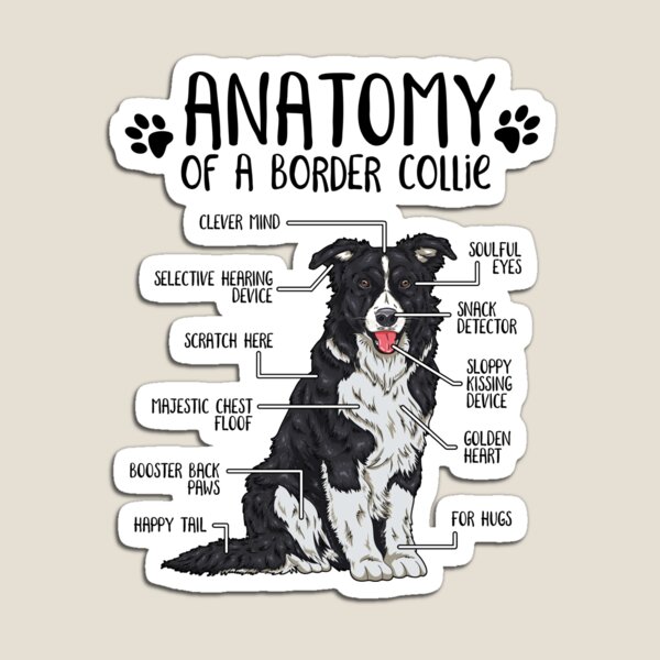 Item preview, Funny Border Collie Anatomy Dog Lover designed and sold by lanynx design.