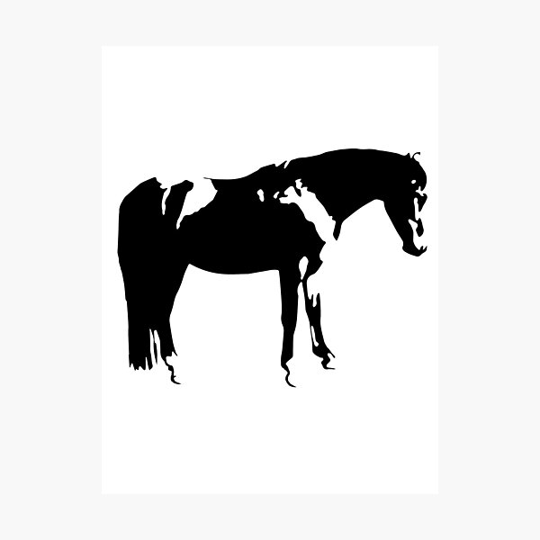 Wandbilder Pferd Silhouette Redbubble