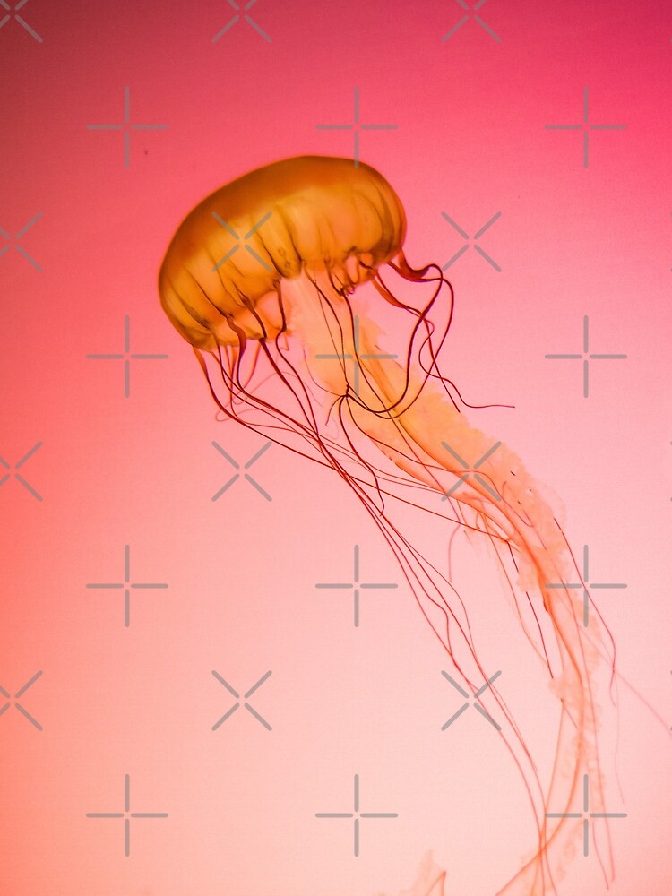 Jellyfish by dangerouslyclos