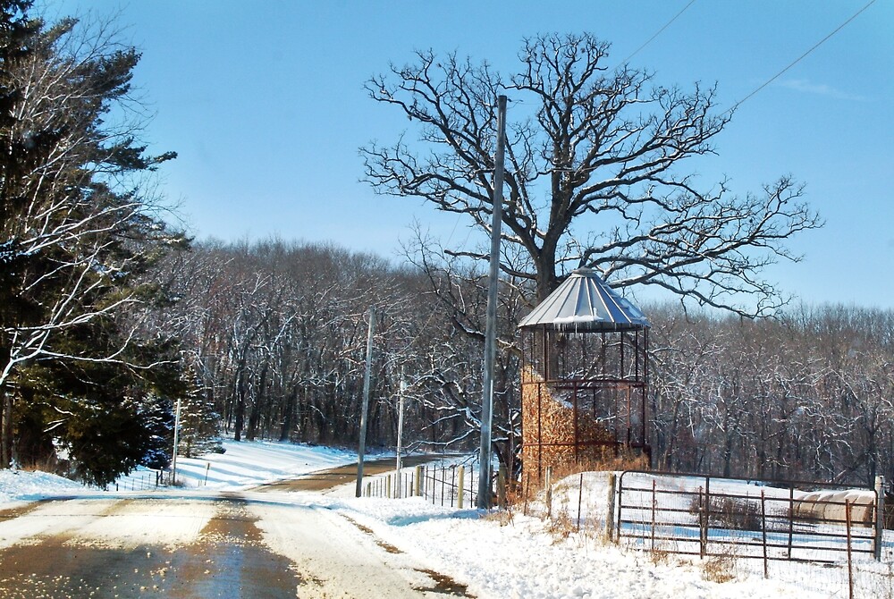 Corn Crib On A Snowy Country Road By Nadya Johnson Redbubble