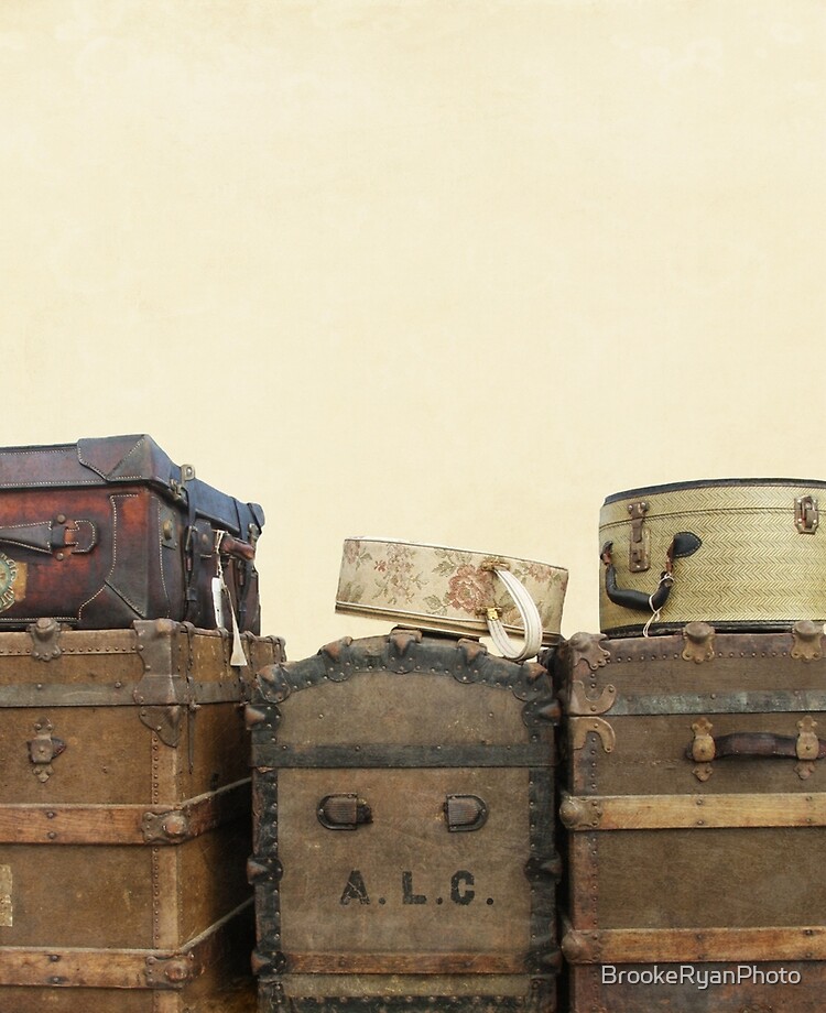 steamer trunk luggage