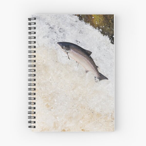 Item preview, large fish leaping on waterfall designed and sold by chanonry.