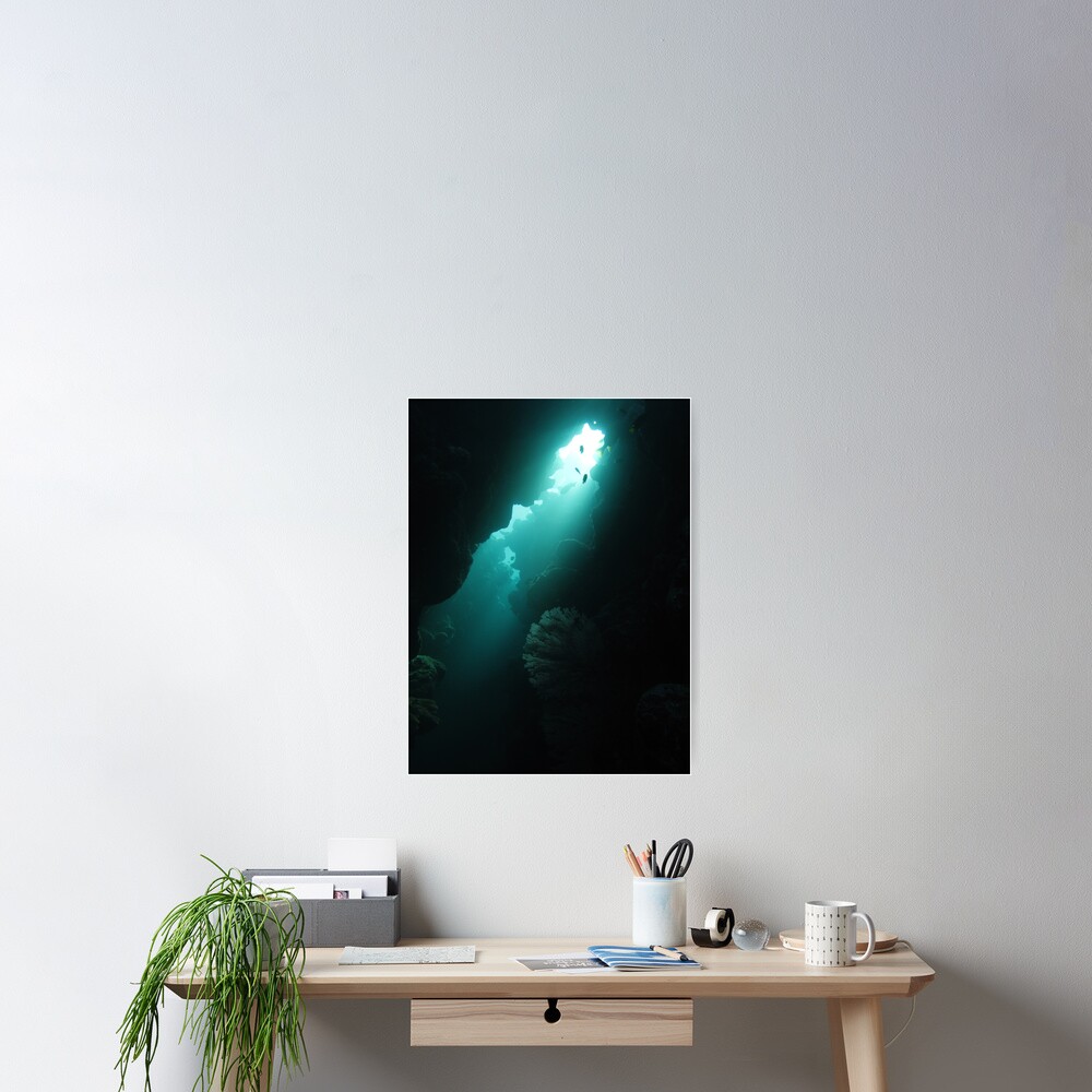 Crevice with Gorgonian Poster