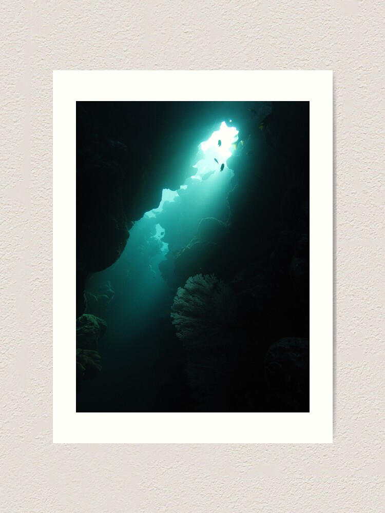 Alternate view of Crevice with Gorgonian Art Print