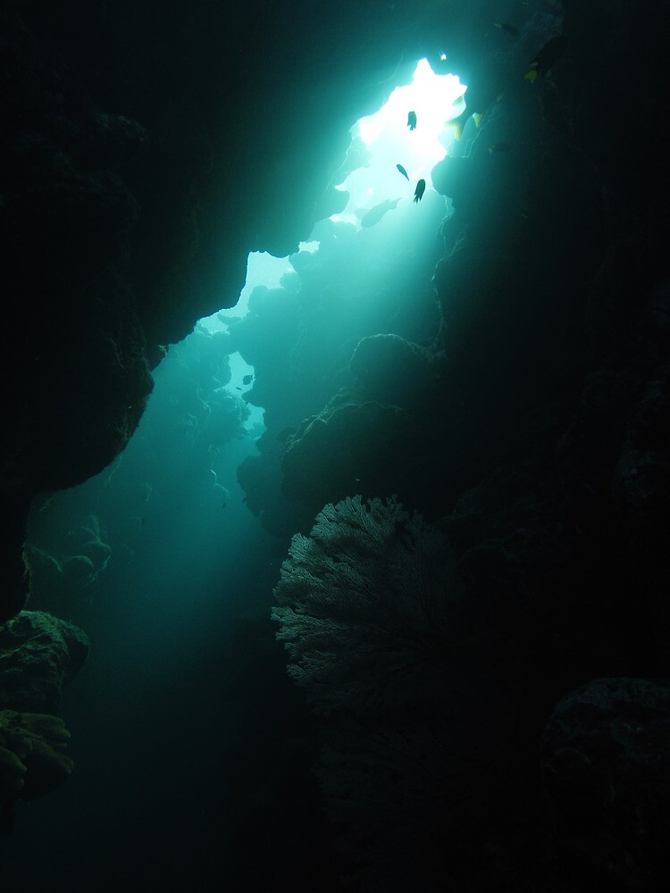Crevice with Gorgonian by neoniphon