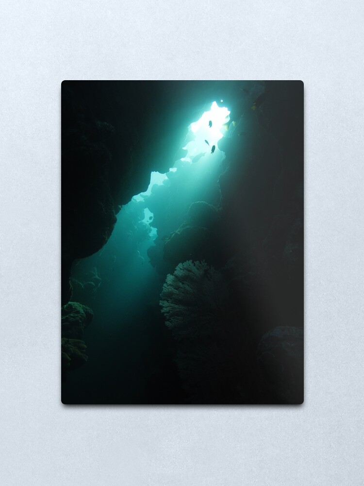 Alternate view of Crevice with Gorgonian Metal Print