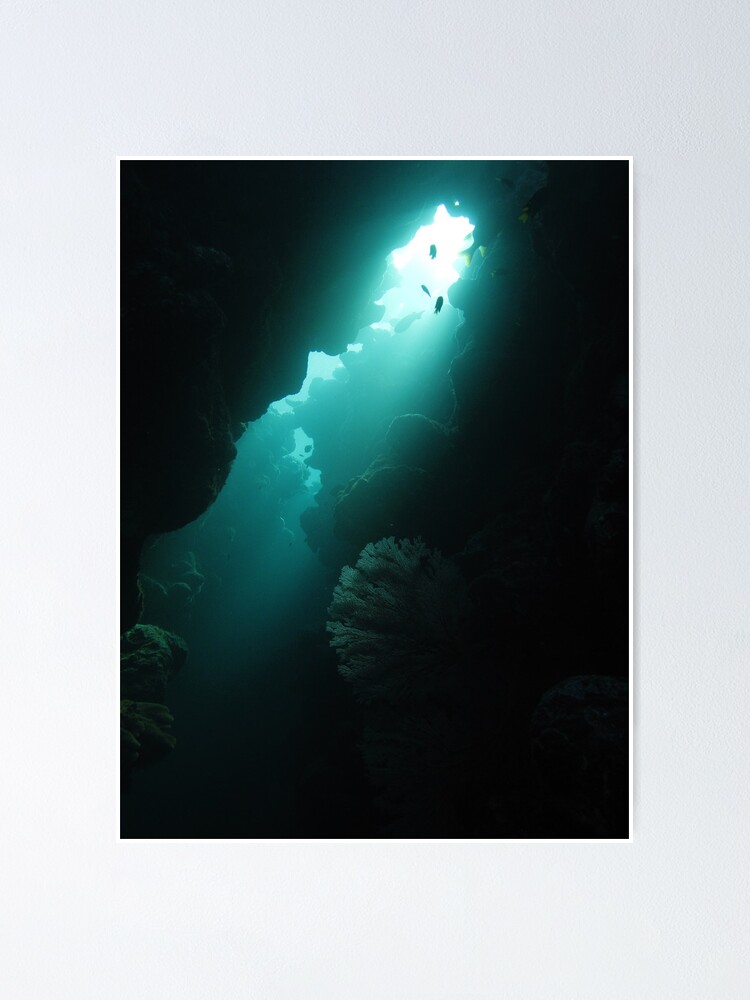 Alternate view of Crevice with Gorgonian Poster