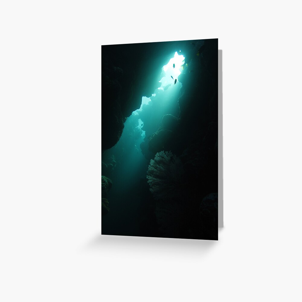 Crevice with Gorgonian Greeting Card