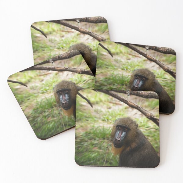 Item preview, Mandrill Monkey looks at Camera designed and sold by KbytesOfJax Outdoor and Nature.
