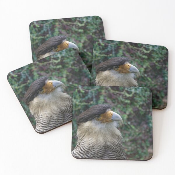 Item preview, Portrait of a bird of prey with dark head and light beak designed and sold by brambillasimone.