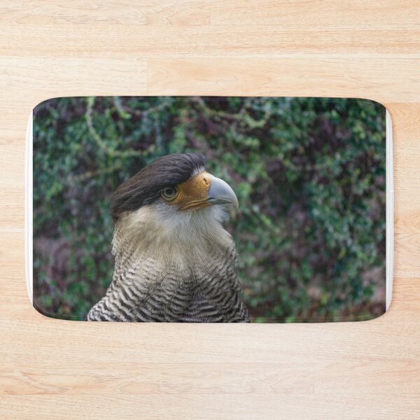 Item preview, Portrait of a bird of prey with dark head and light beak designed and sold by brambillasimone.