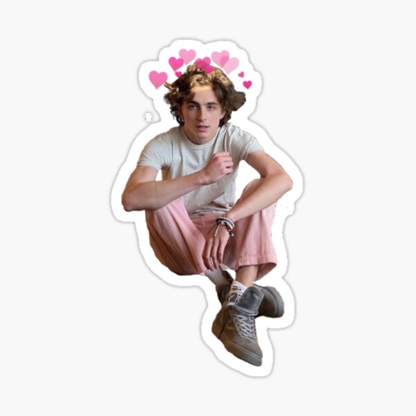 Timothee Chalamet Sticker