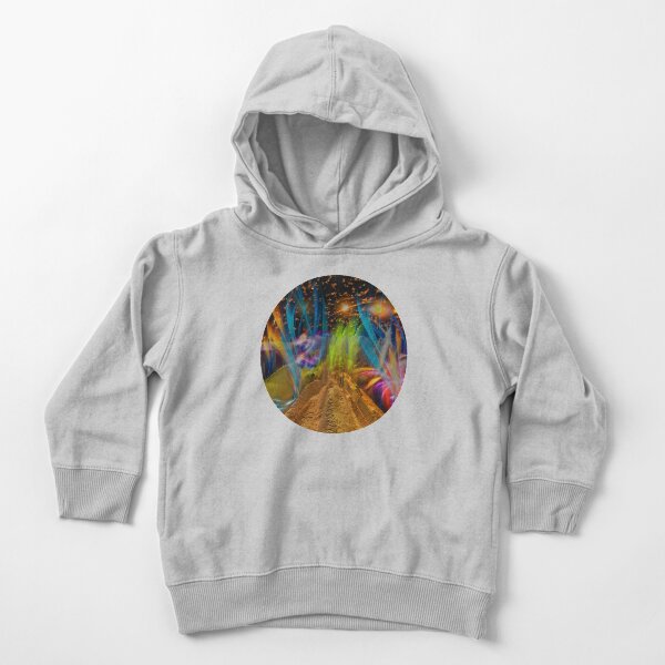 Meerbrinlux Toddler Pullover Hoodie