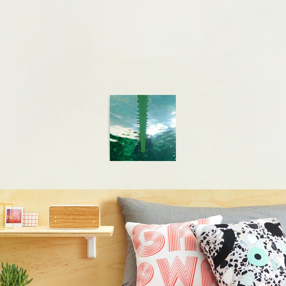 Sawtooth Shark Teeth in Aquarium Water Photographic Print
