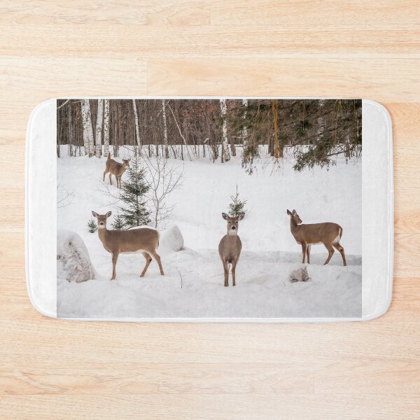 Item preview, Curiosity  designed and sold by Alla Gill.
