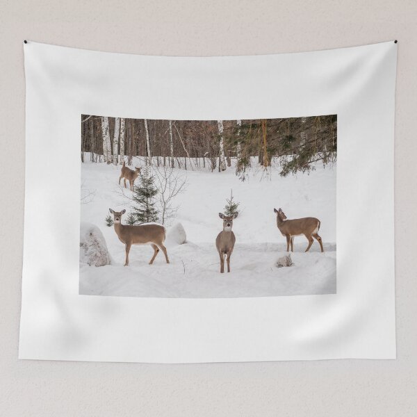 Item preview, Curiosity  designed and sold by Alla Gill.