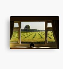 "SNAPITNC INVITES YOU IN" Canvas Print