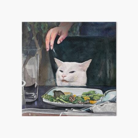 Woman Yelling at Cat Meme-2 Art Board Print
