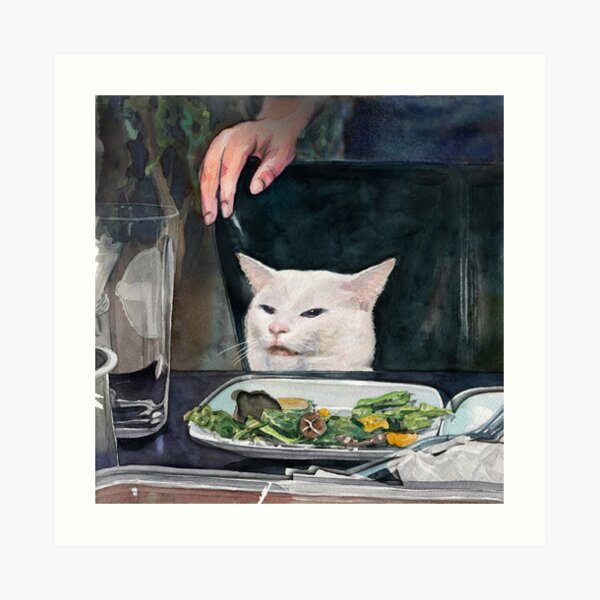Woman Yelling at Cat Meme-2 Art Print