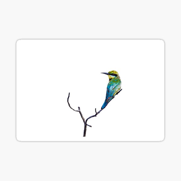 Item preview, Rainbow Bee-eater designed and sold by TGrowden.
