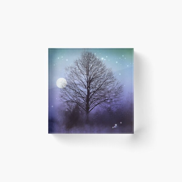 Winter's Night Tree Acrylic Block