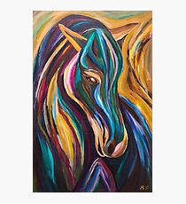 Polychrome Pony Photographic Print