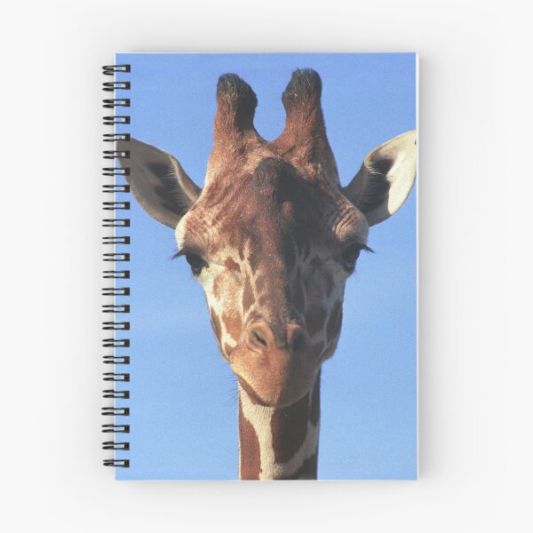 Item preview, Giraffe  designed and sold by dangerouslyclos.