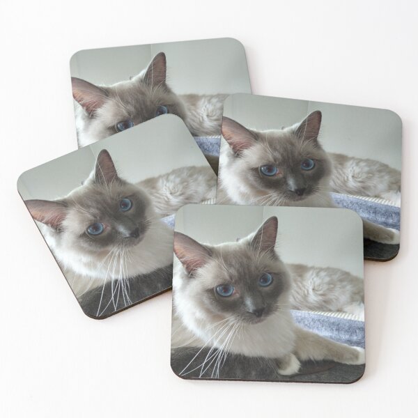 Item preview, Ragdoll comfort designed and sold by Nigelseanberry.