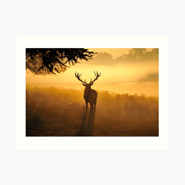 Close Encounters Art Print