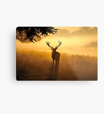 Close Encounters Metal Print