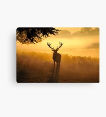 Close Encounters Canvas Print