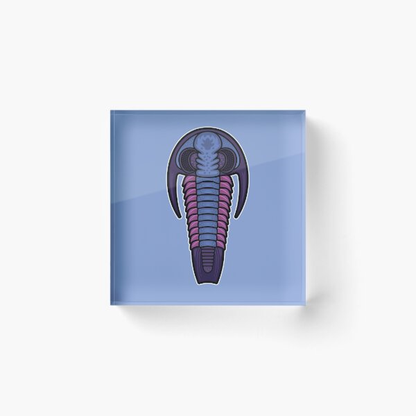 Item preview, Trilobite - Robergia designed and sold by David Orr.