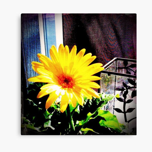 "Sun Drop" Canvas Print
