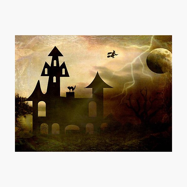 Moon Flight © Photographic Print