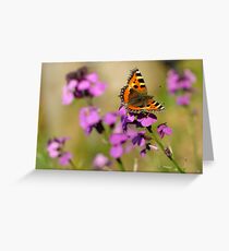 Butterfly on flower Greeting Card