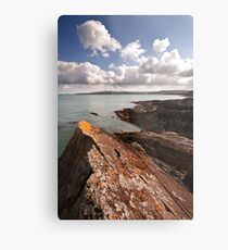 Bull Bay Metal Print