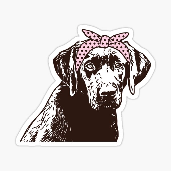 Lab Stickers, Labrador Stickers - Labrador Retriever with Hairbandana Sticker
