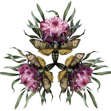 Artwork thumbnail, Triangle Symmetrical Halloween Dark Gothic Composition with Dead Head Moth and Flowers by Vsevolod Ziablov