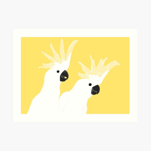 Cacatúas Lámina artística