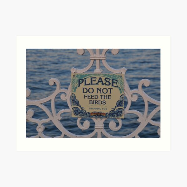 Please don't feed the birds Art Print
