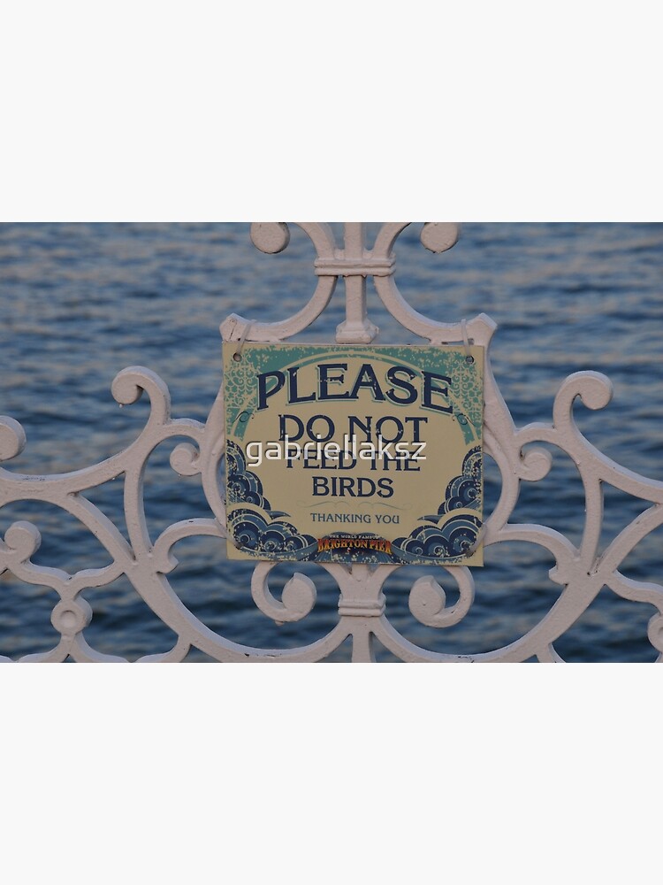 Please don't feed the birds by gabriellaksz