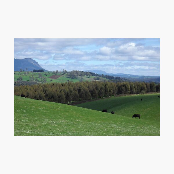 Item preview, Tasmanian farmland  designed and sold by Gaylene Norton.
