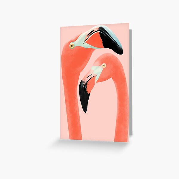 Flamencos Tarjetas de felicitación