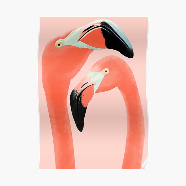 Flamencos Póster